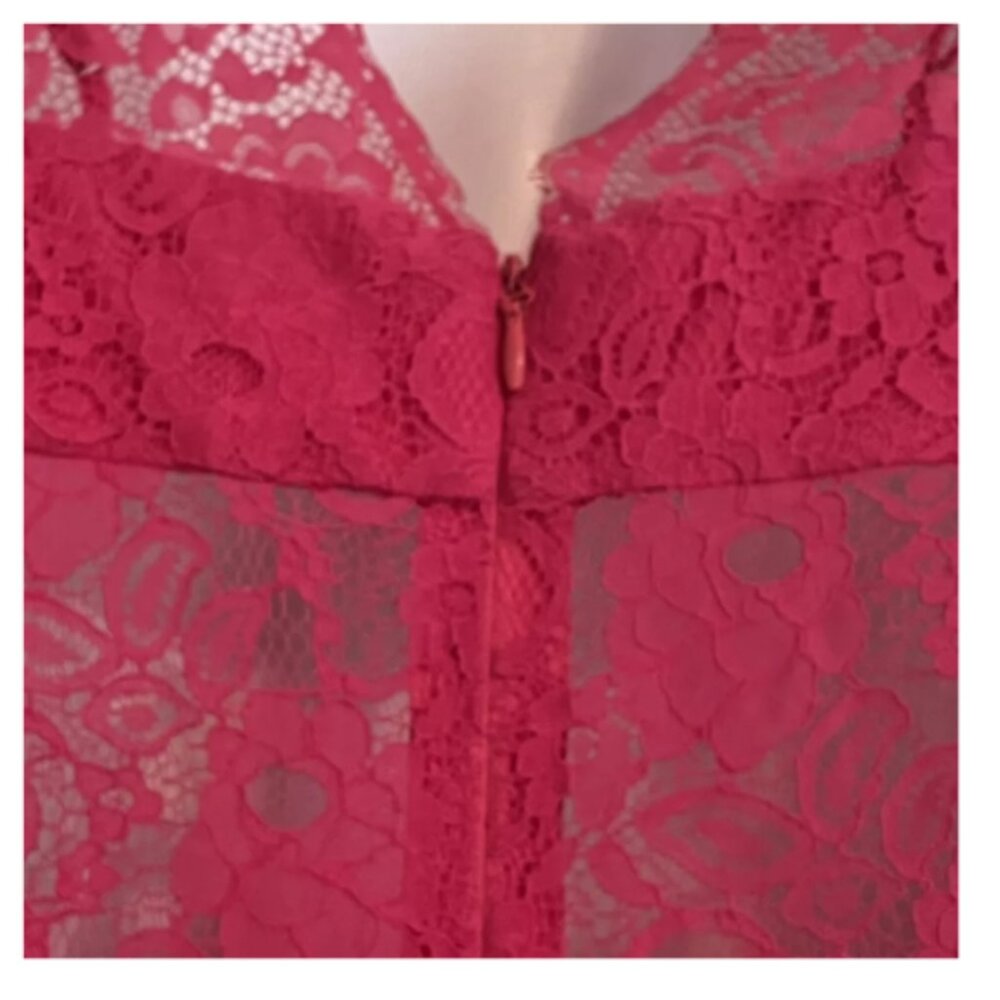 BCBG Max Azria Devom Begonia Pink Lace Overlay Sheer Lace Midriff Sleeves - Picture 9 of 11